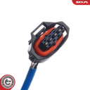 Sonde lambda
