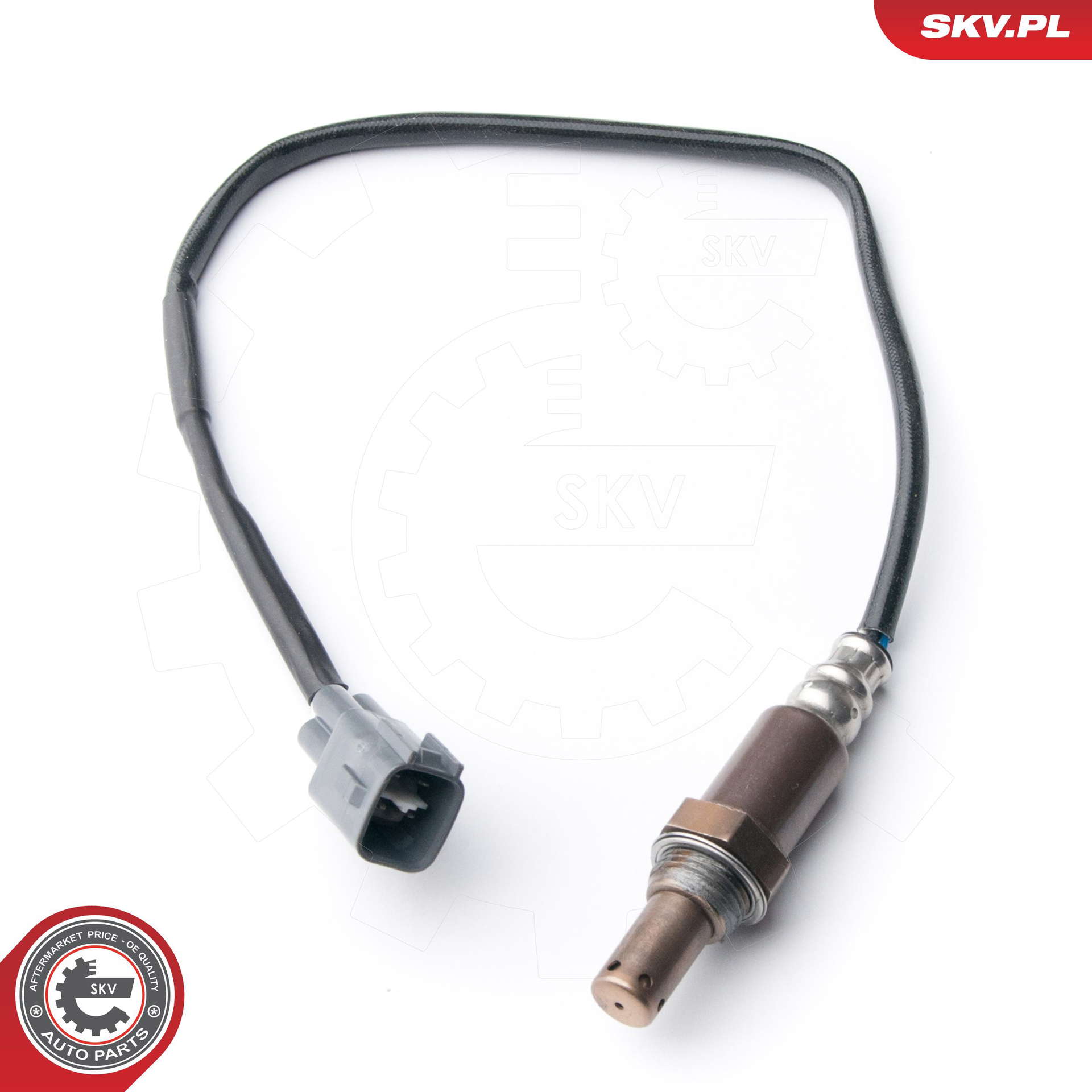 09SKV086_PROD_01
