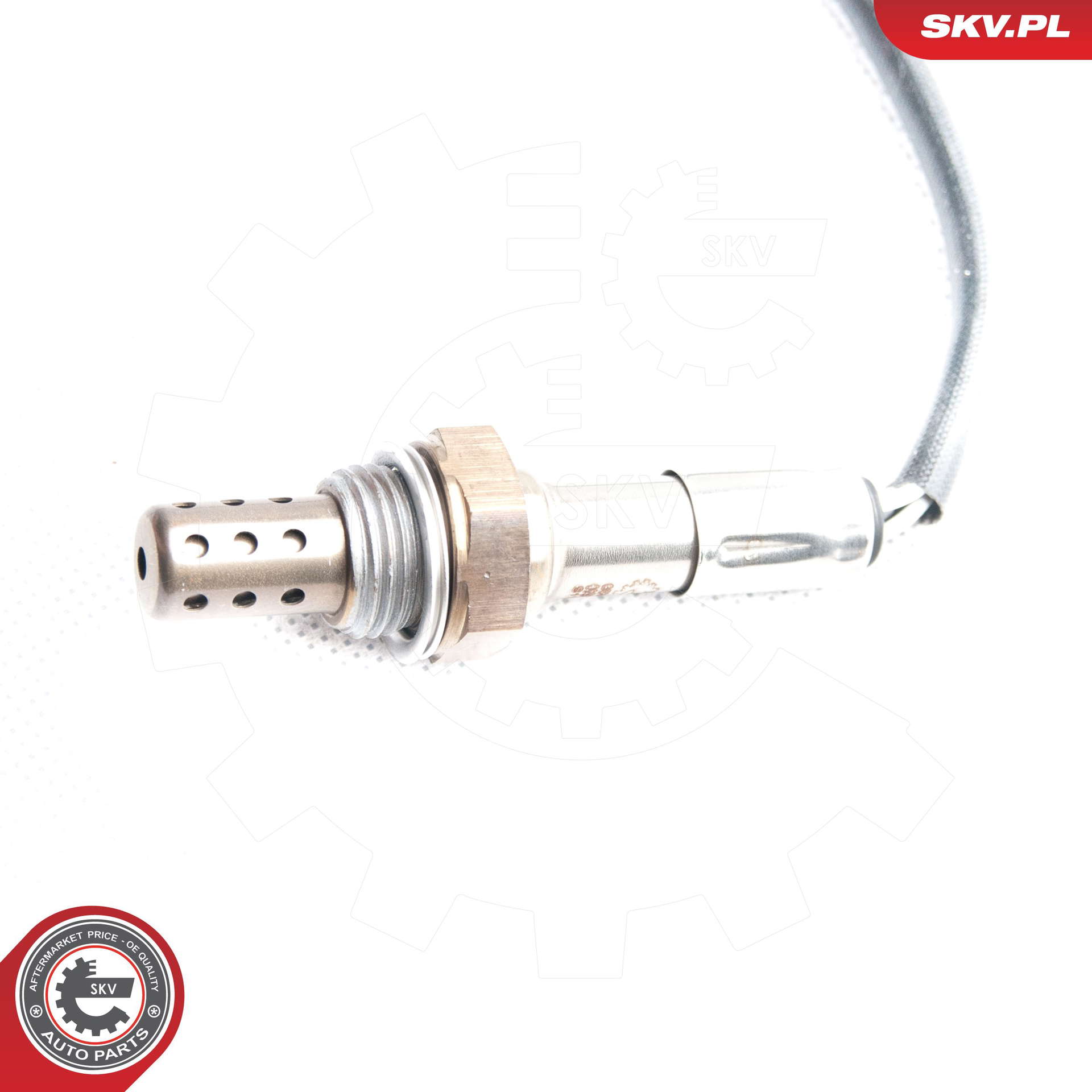 09SKV096_PROD_02