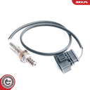 09SKV100_PROD_01