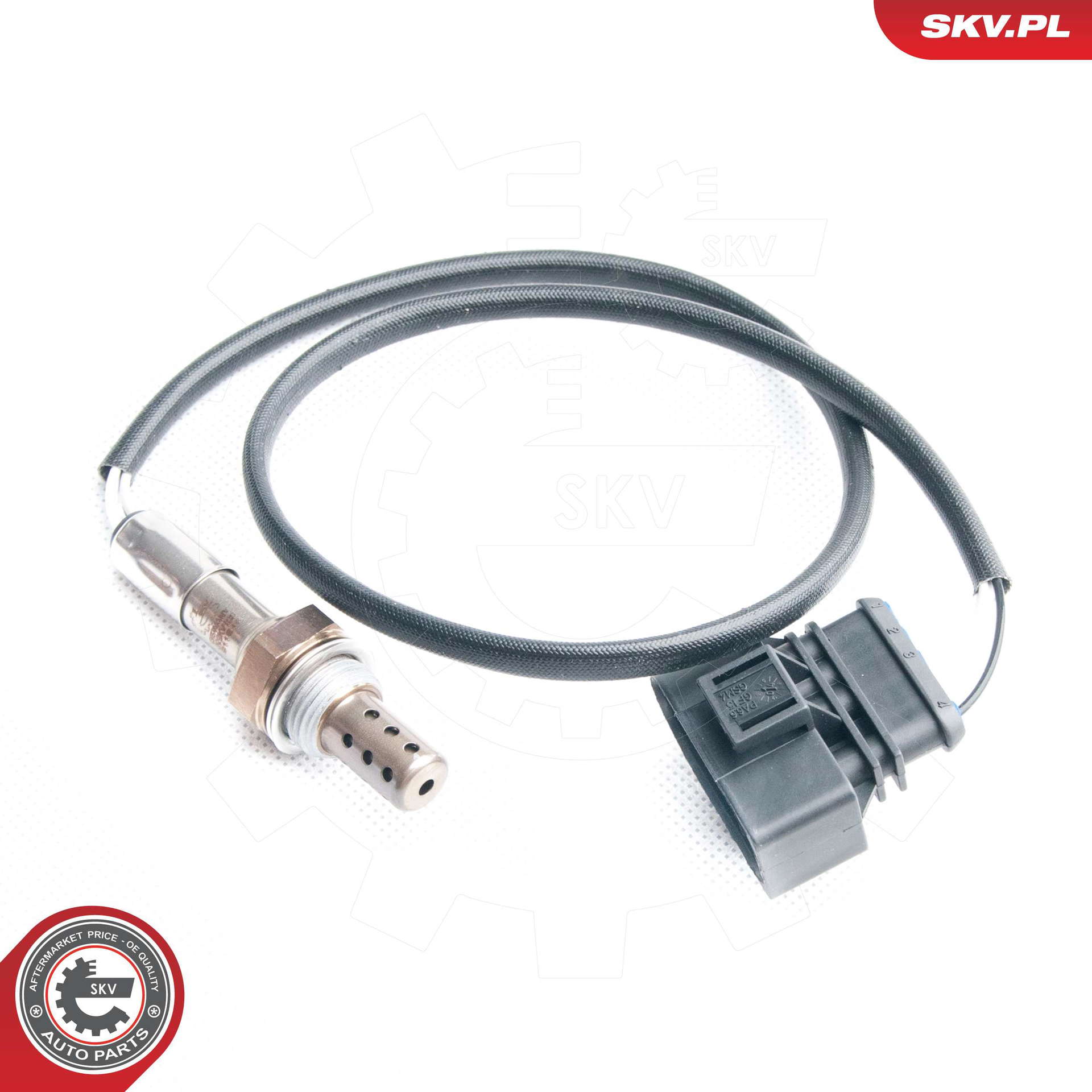 09SKV100_PROD_01