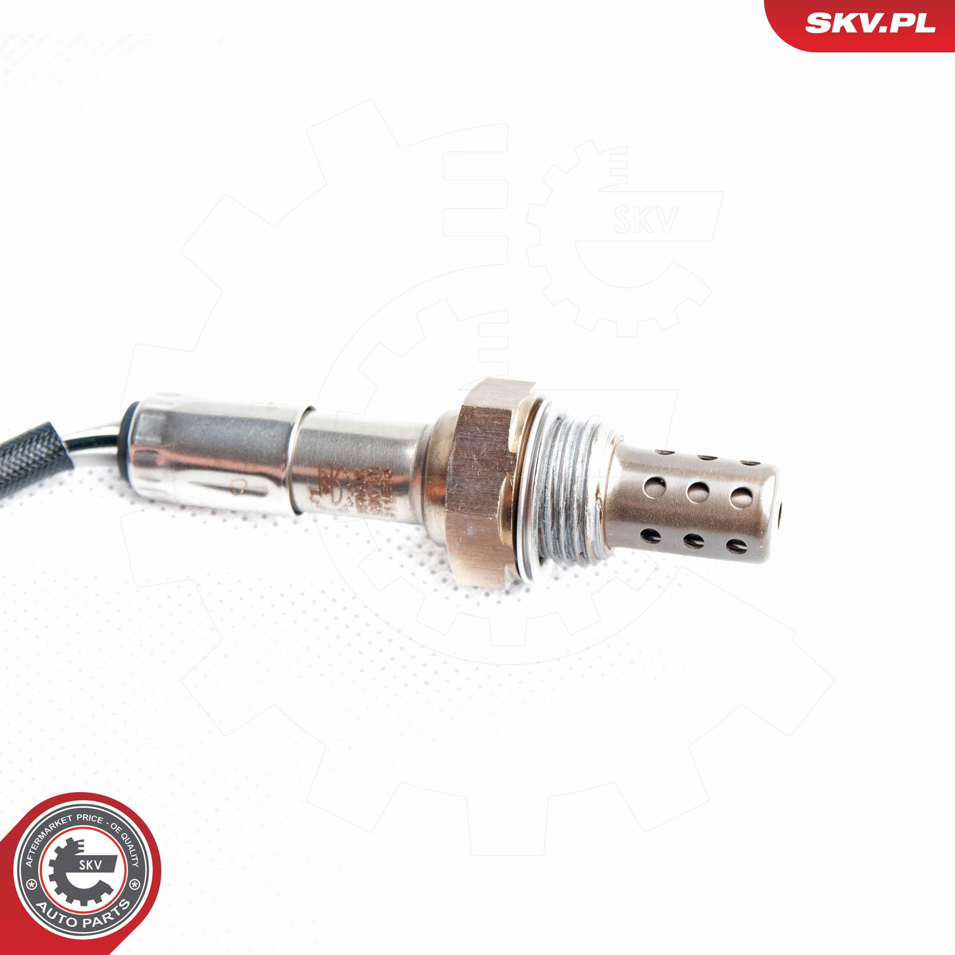 09SKV101_PROD_02