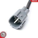 09SKV113_PROD_02