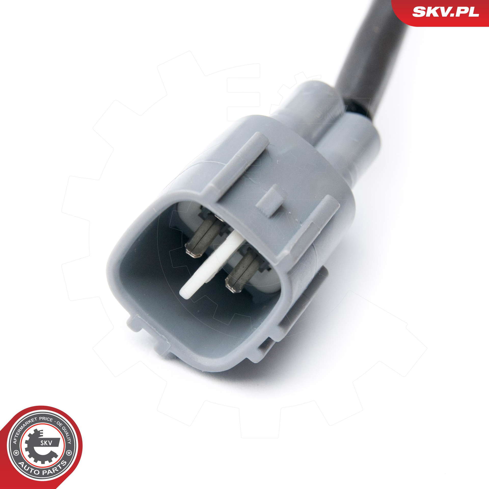 09SKV113_PROD_02