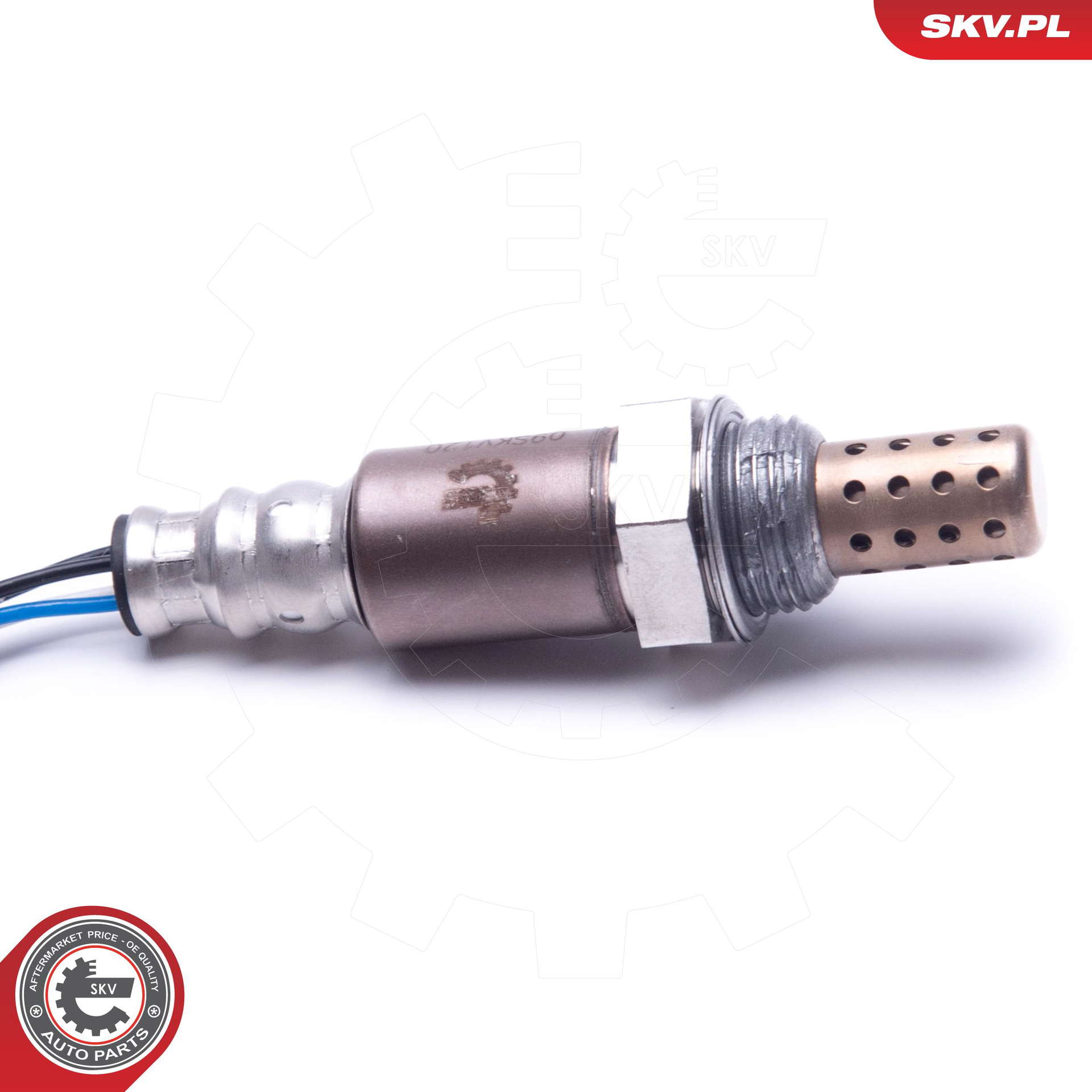 09SKV120_PROD_02