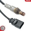 09SKV126_PROD_02