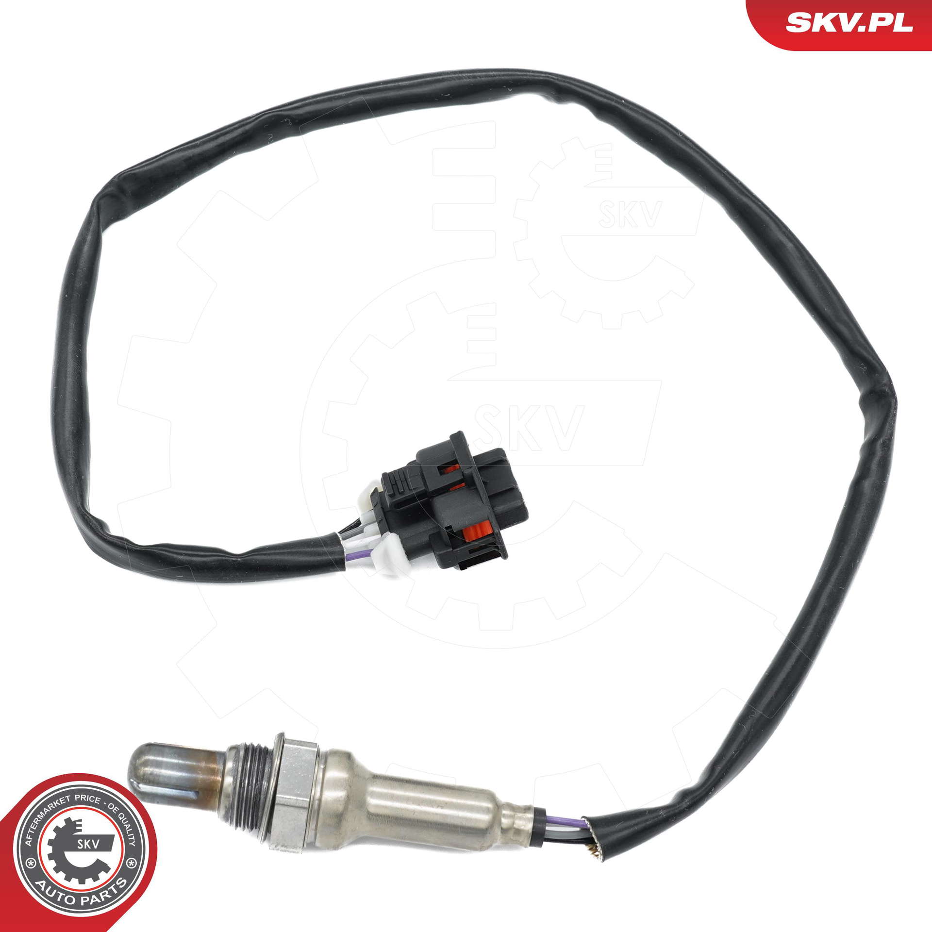 09SKV130_PROD_01