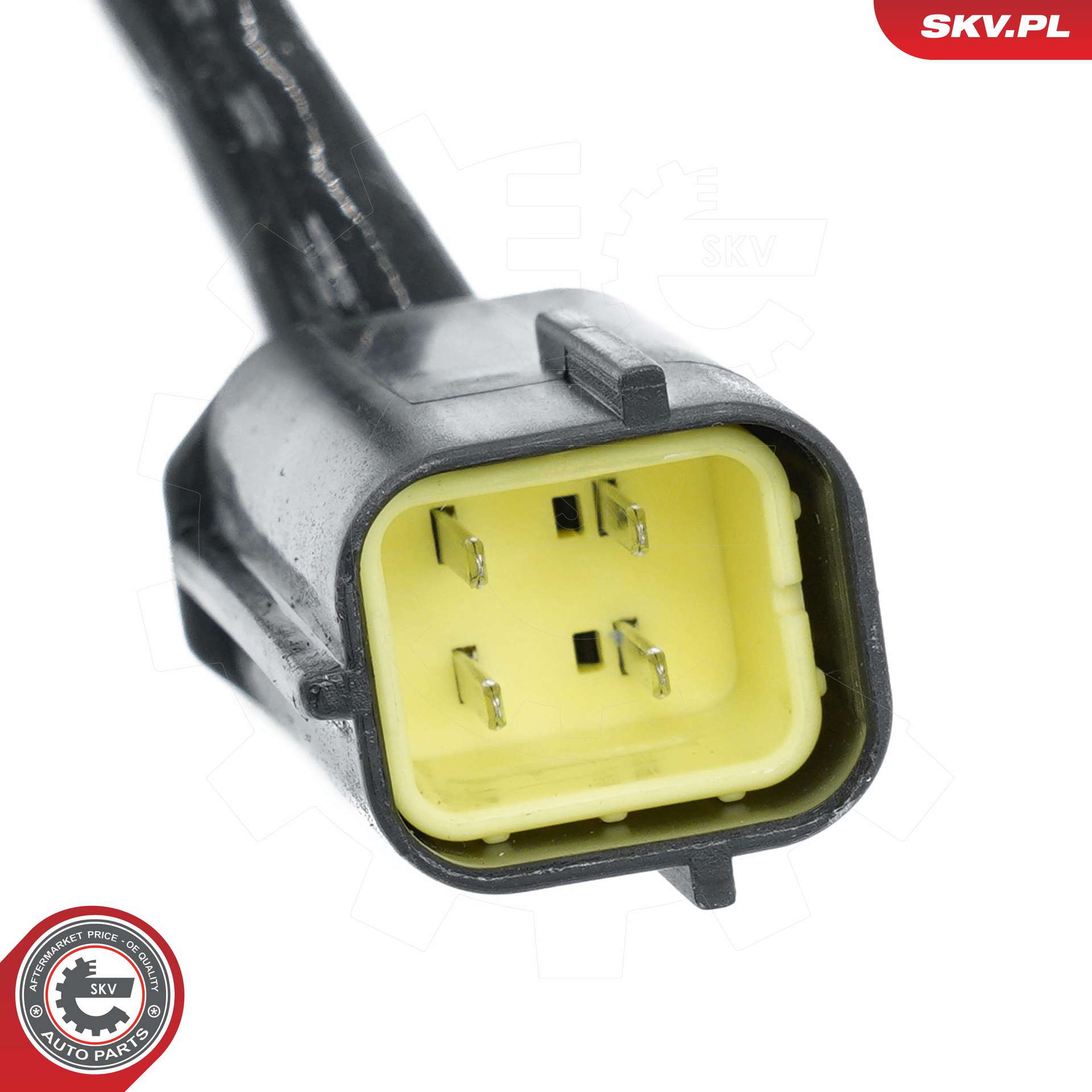 09SKV131_PROD_03