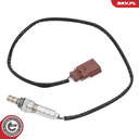 09SKV133_PROD_01