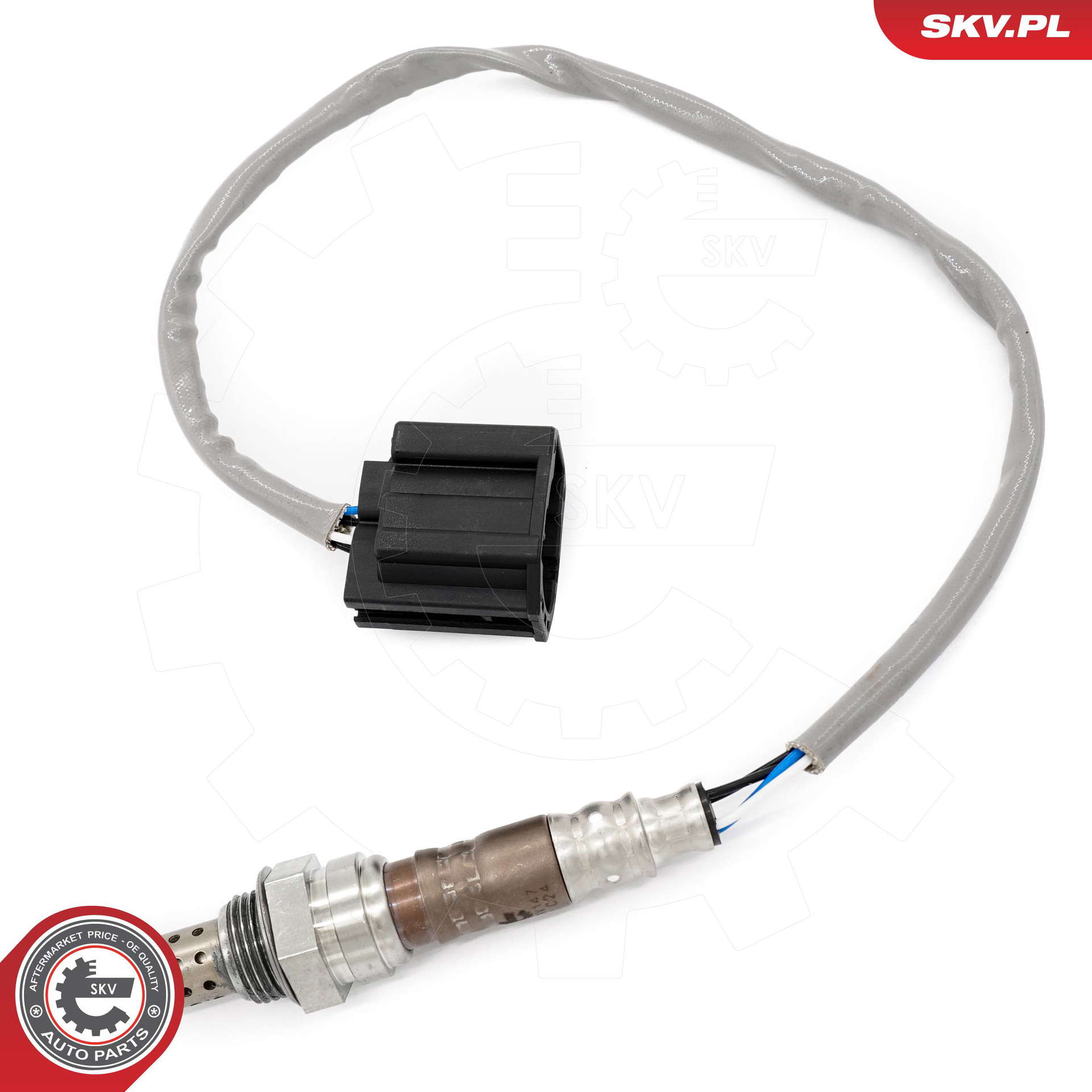 09SKV147_PROD_01