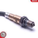 09SKV419_PROD_02