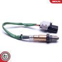 09SKV421_PROD_01