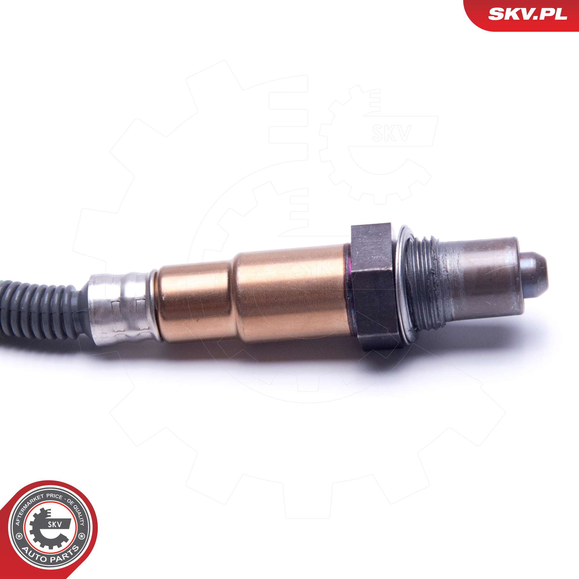 09SKV421_PROD_02