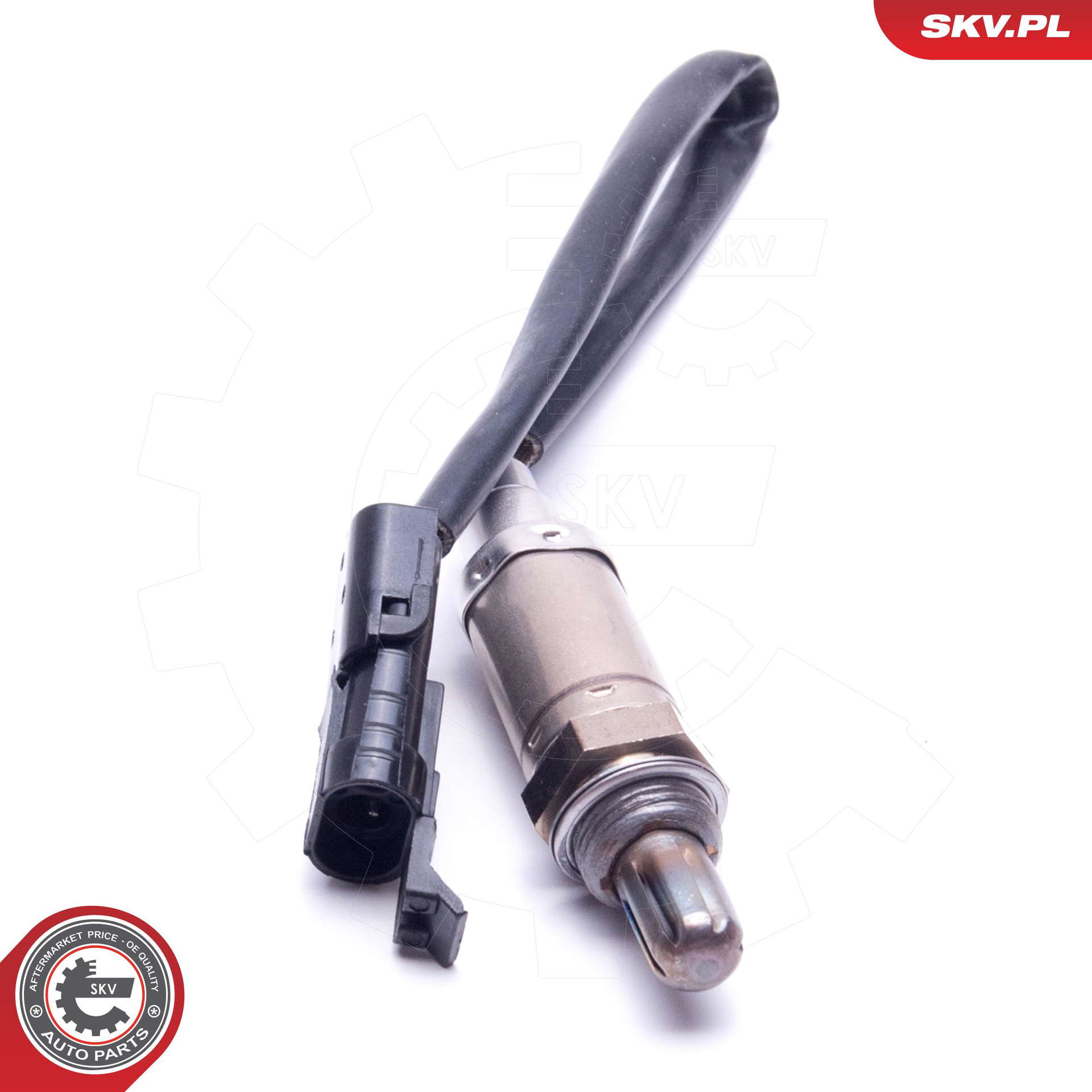 09SKV436_PROD_01