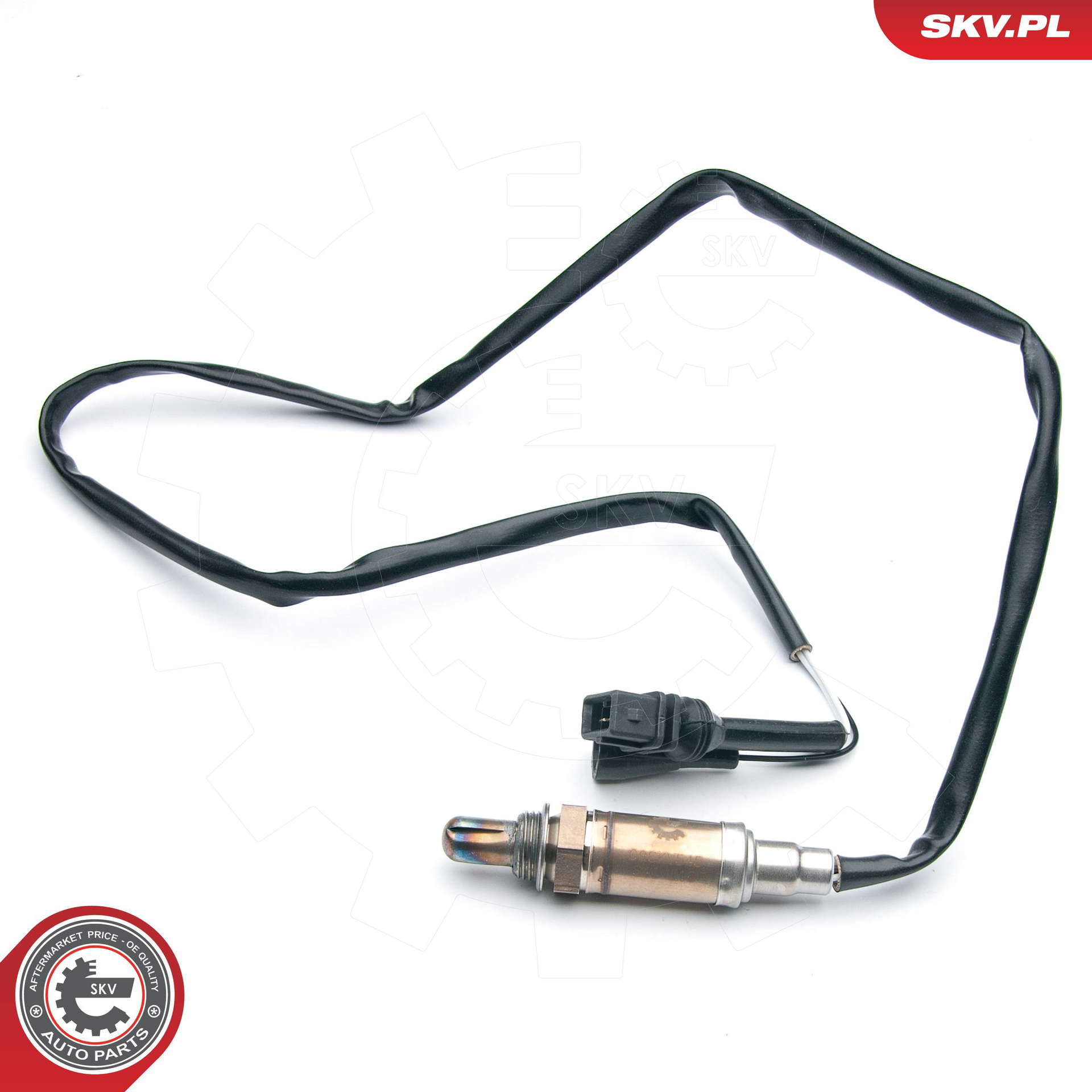 09SKV545_PROD_01