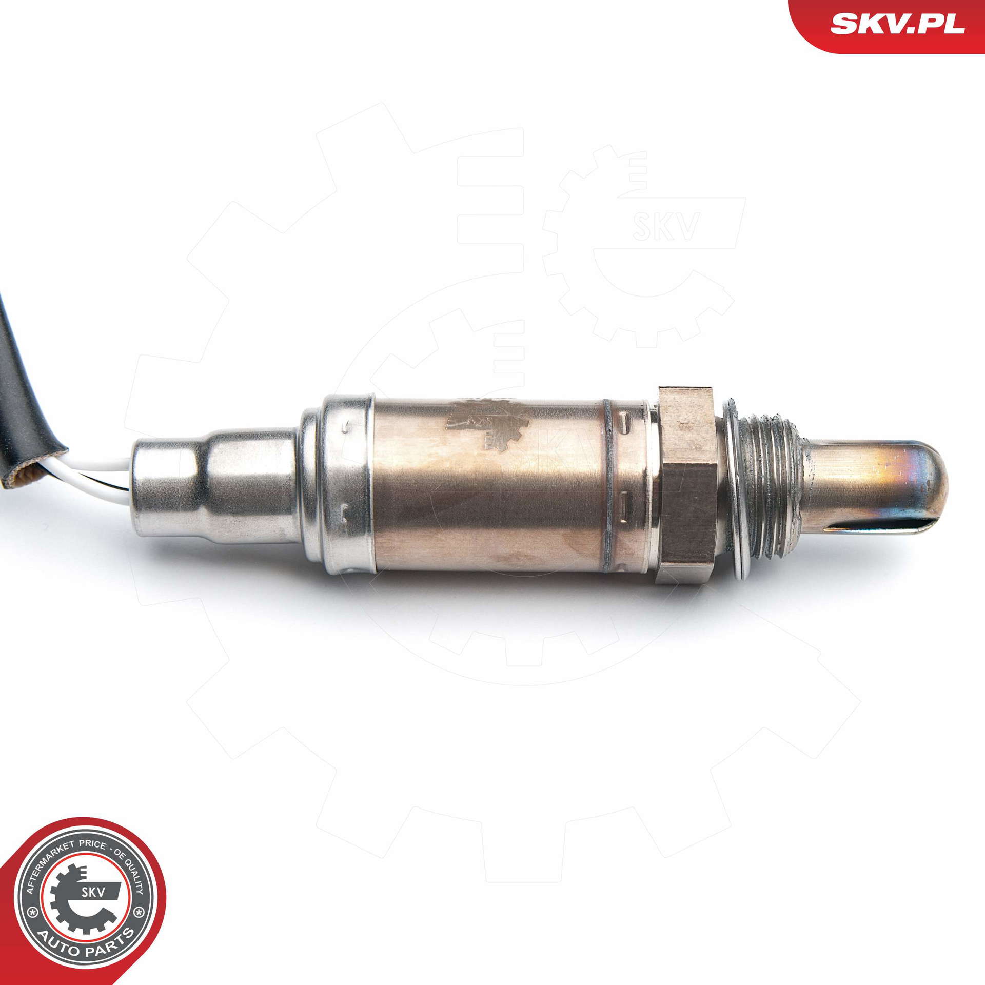 09SKV546_PROD_02