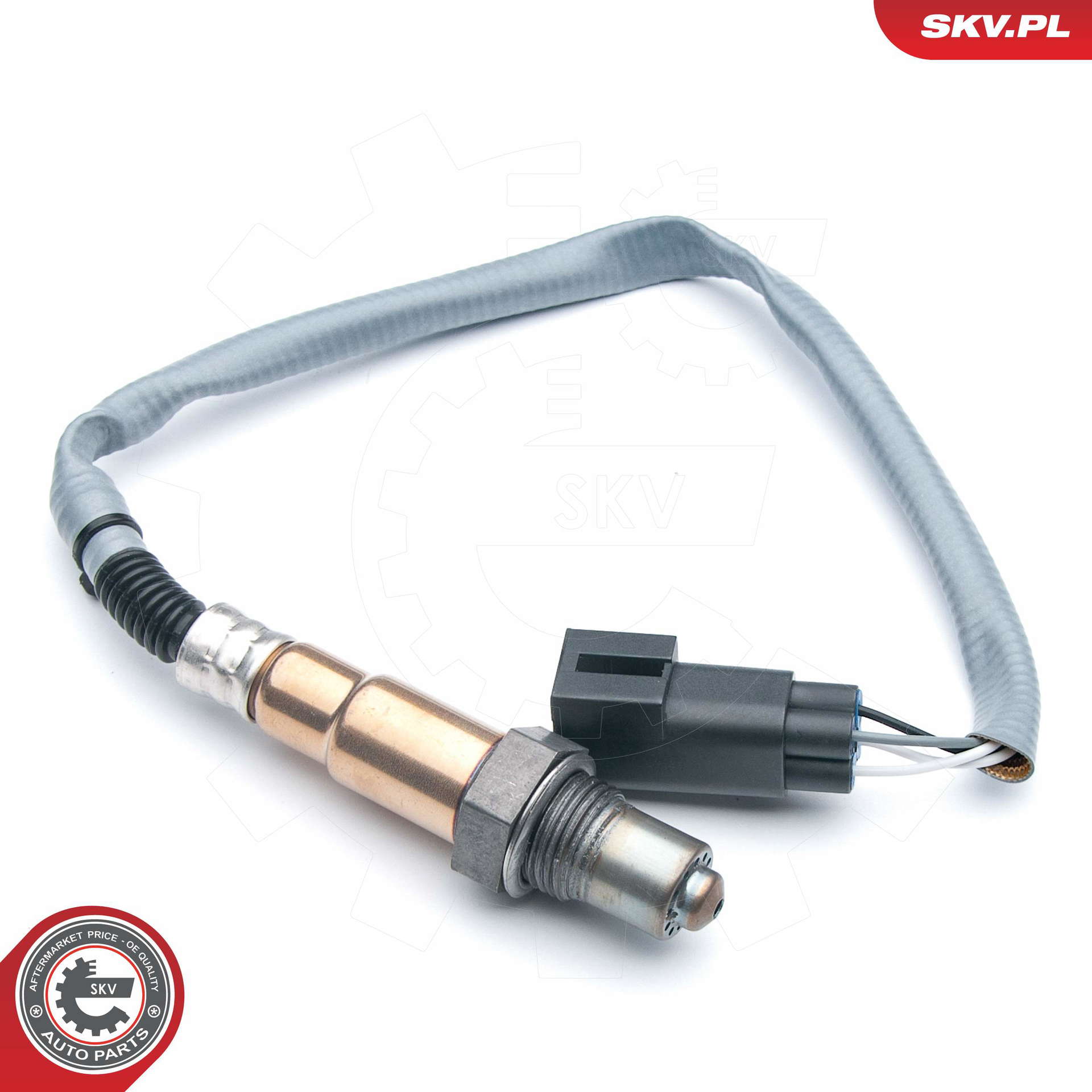 09SKV558_PROD_01