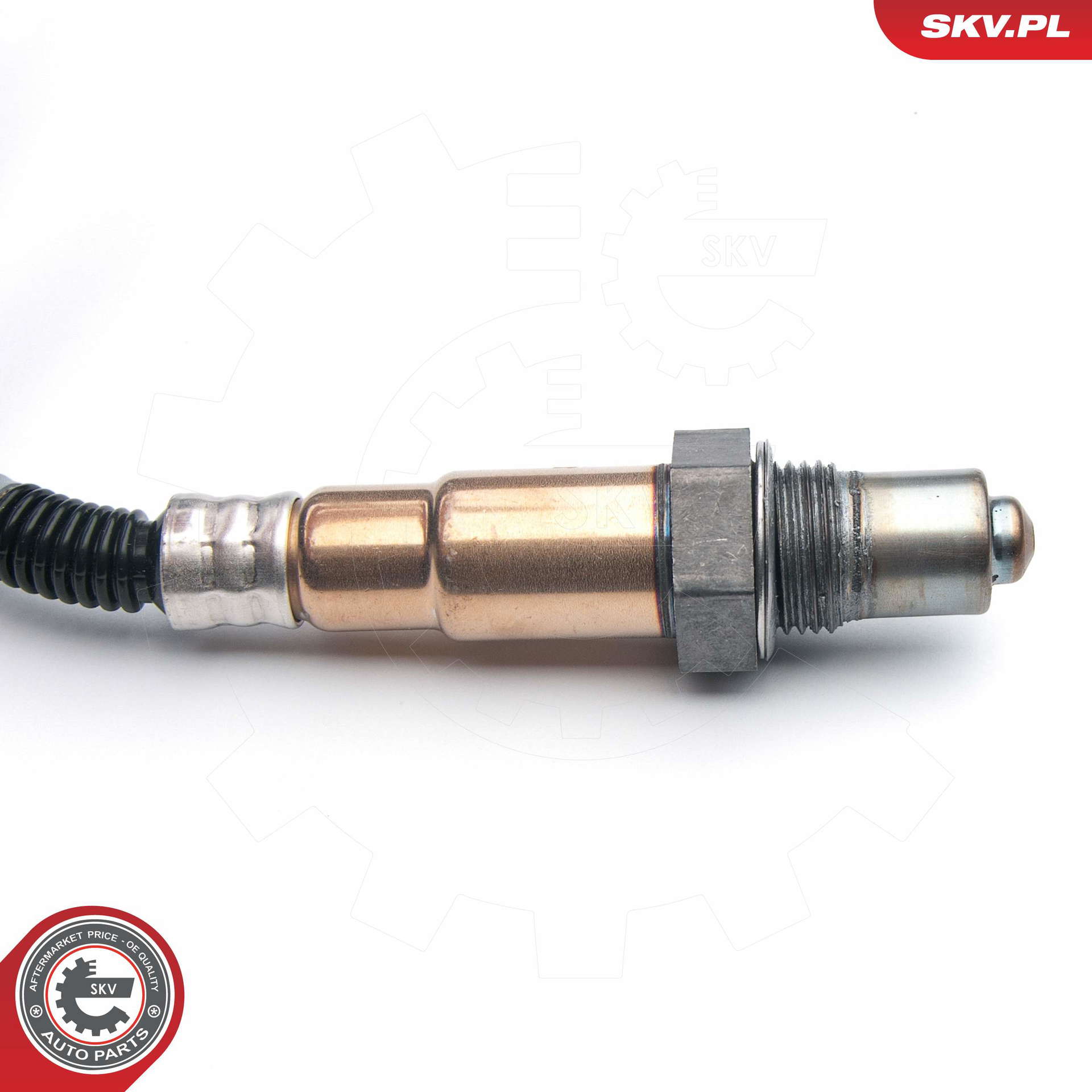 09SKV558_PROD_02
