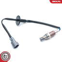 Sonde lambda