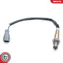 09SKV585_PROD_01