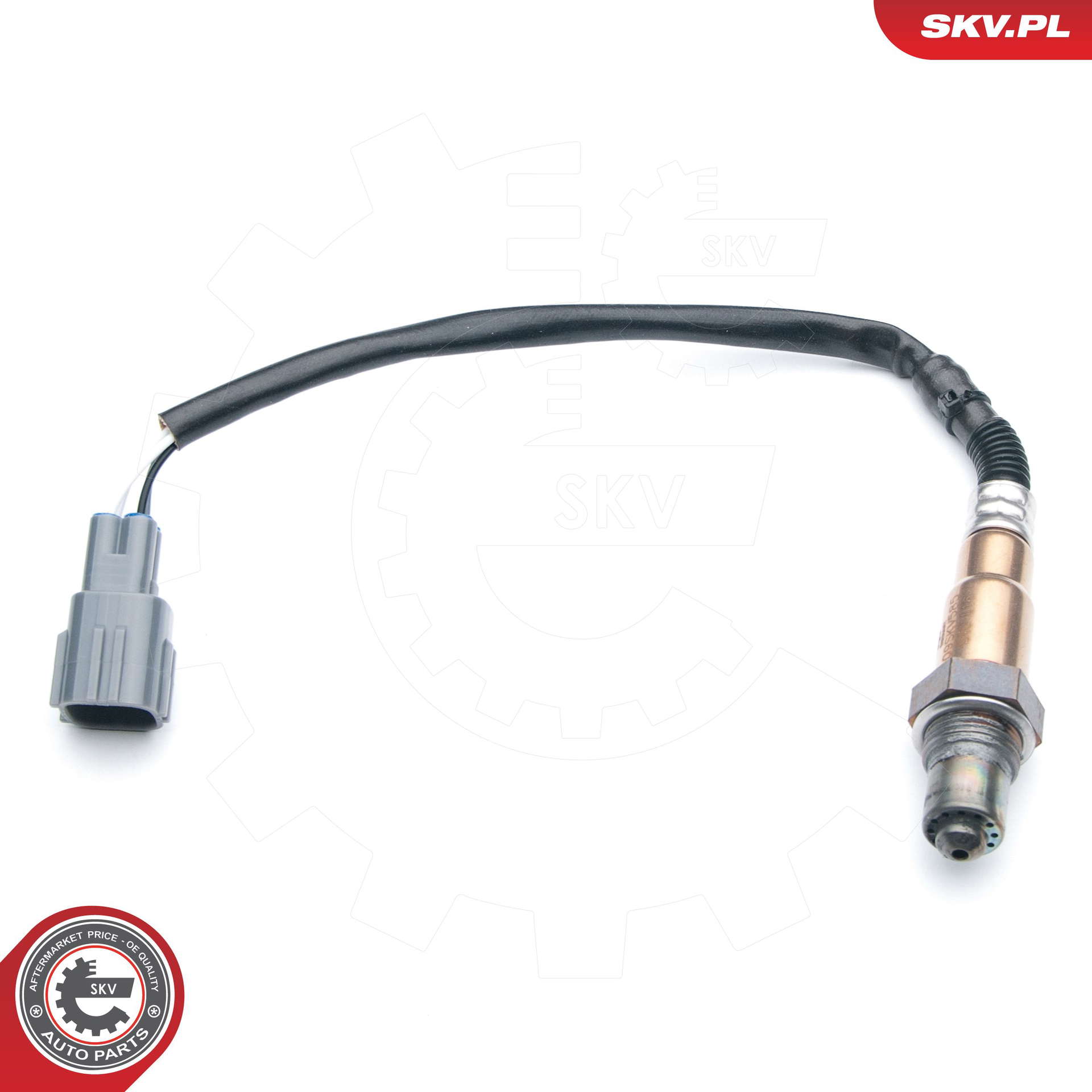 09SKV585_PROD_01