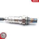 09SKV594_PROD_02