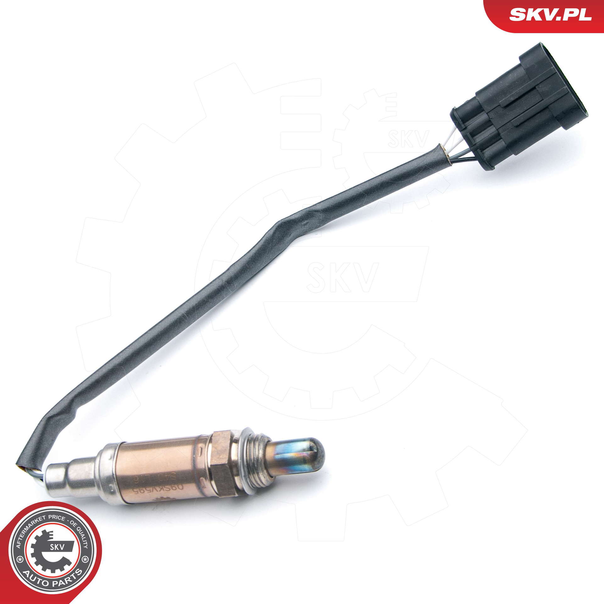 09SKV595_PROD_01