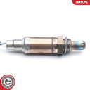09SKV595_PROD_02