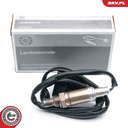 09SKV599_PROD_04