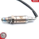 09SKV601_PROD_02