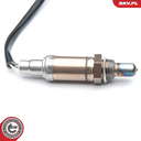 09SKV602_PROD_02