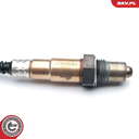09SKV617_PROD_02