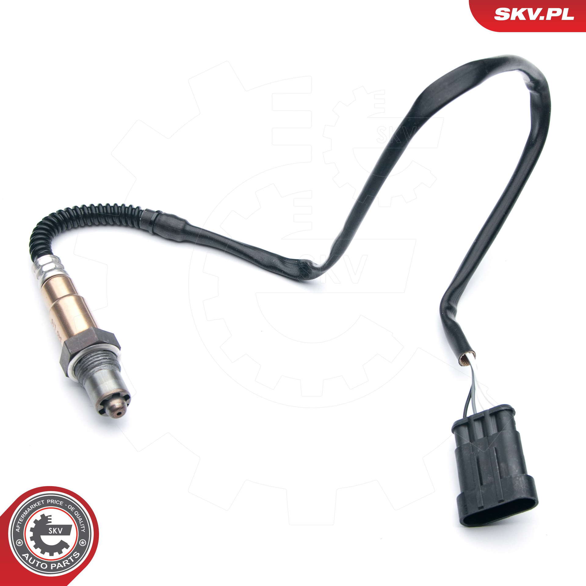 09SKV638_PROD_01