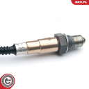 09SKV641_PROD_02