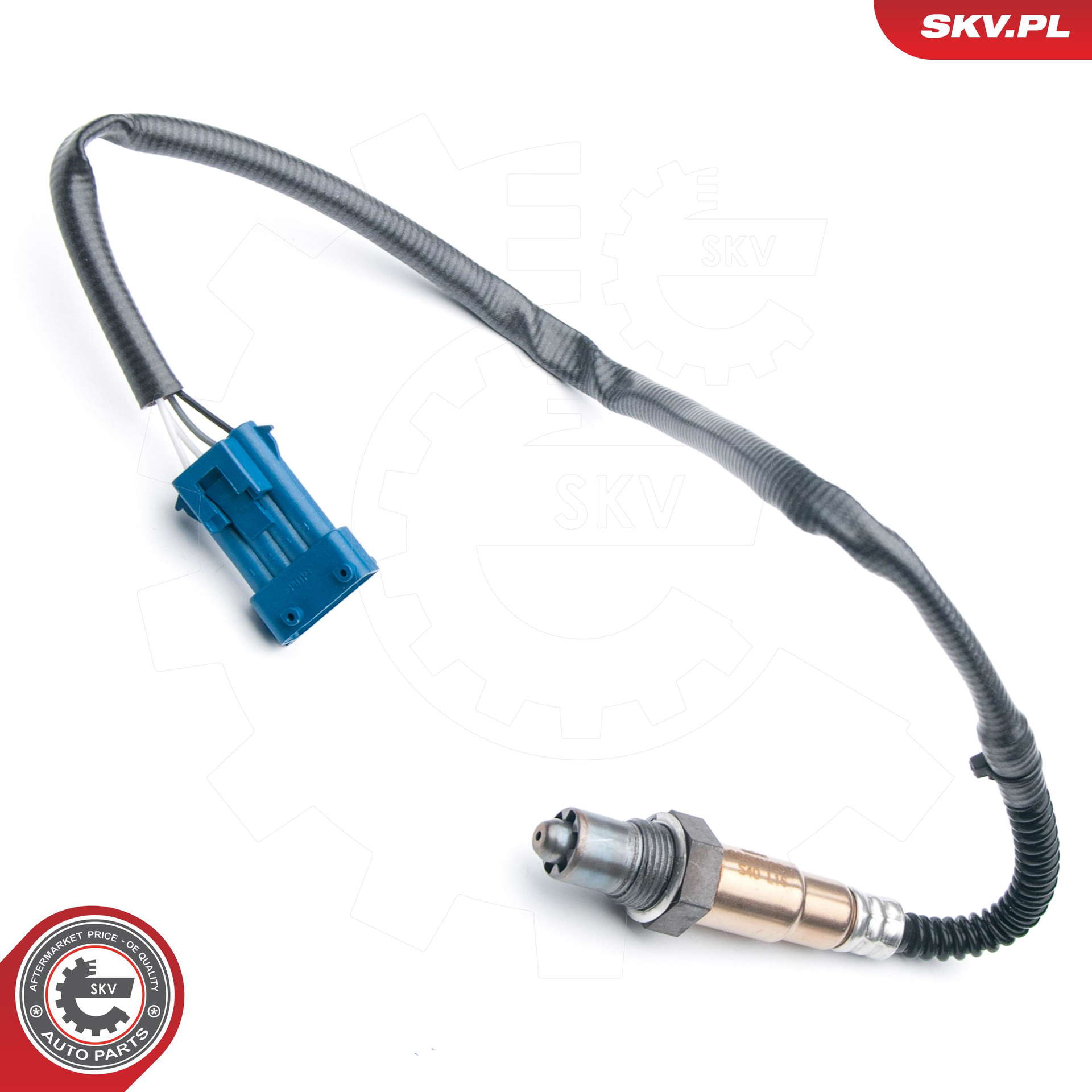 09SKV689_PROD_01