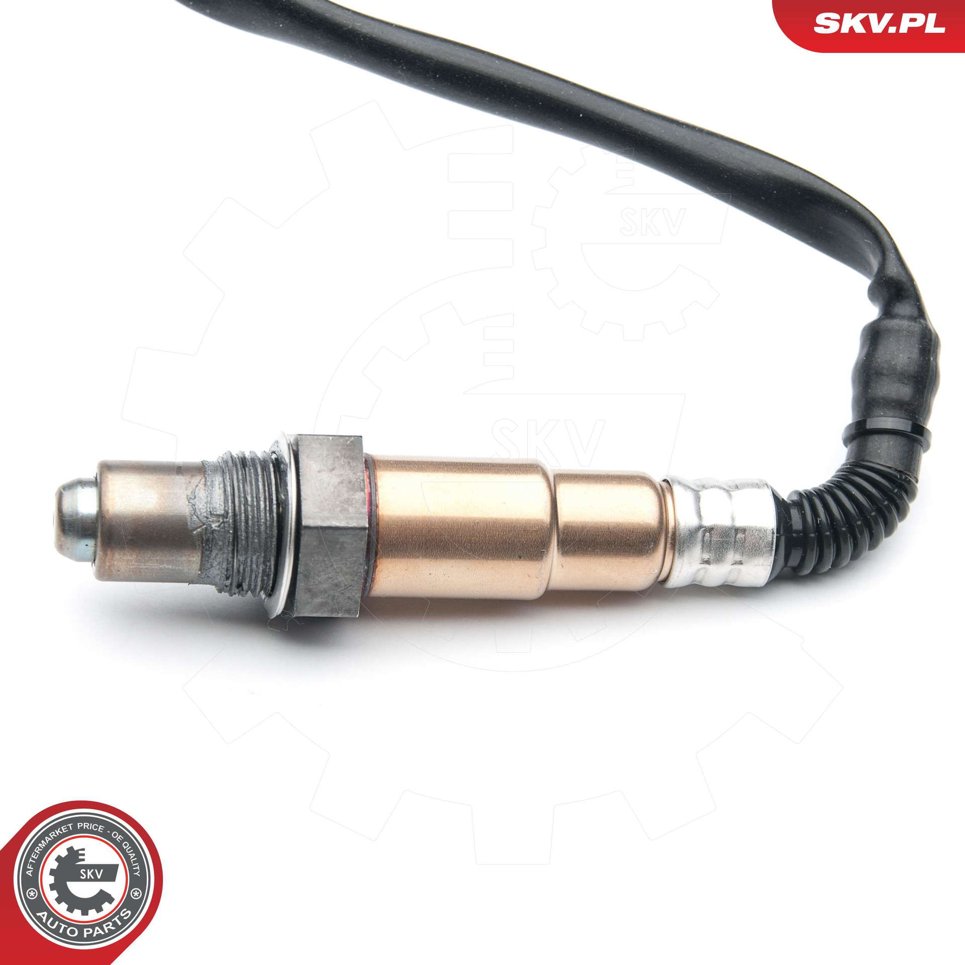 09SKV694_PROD_02