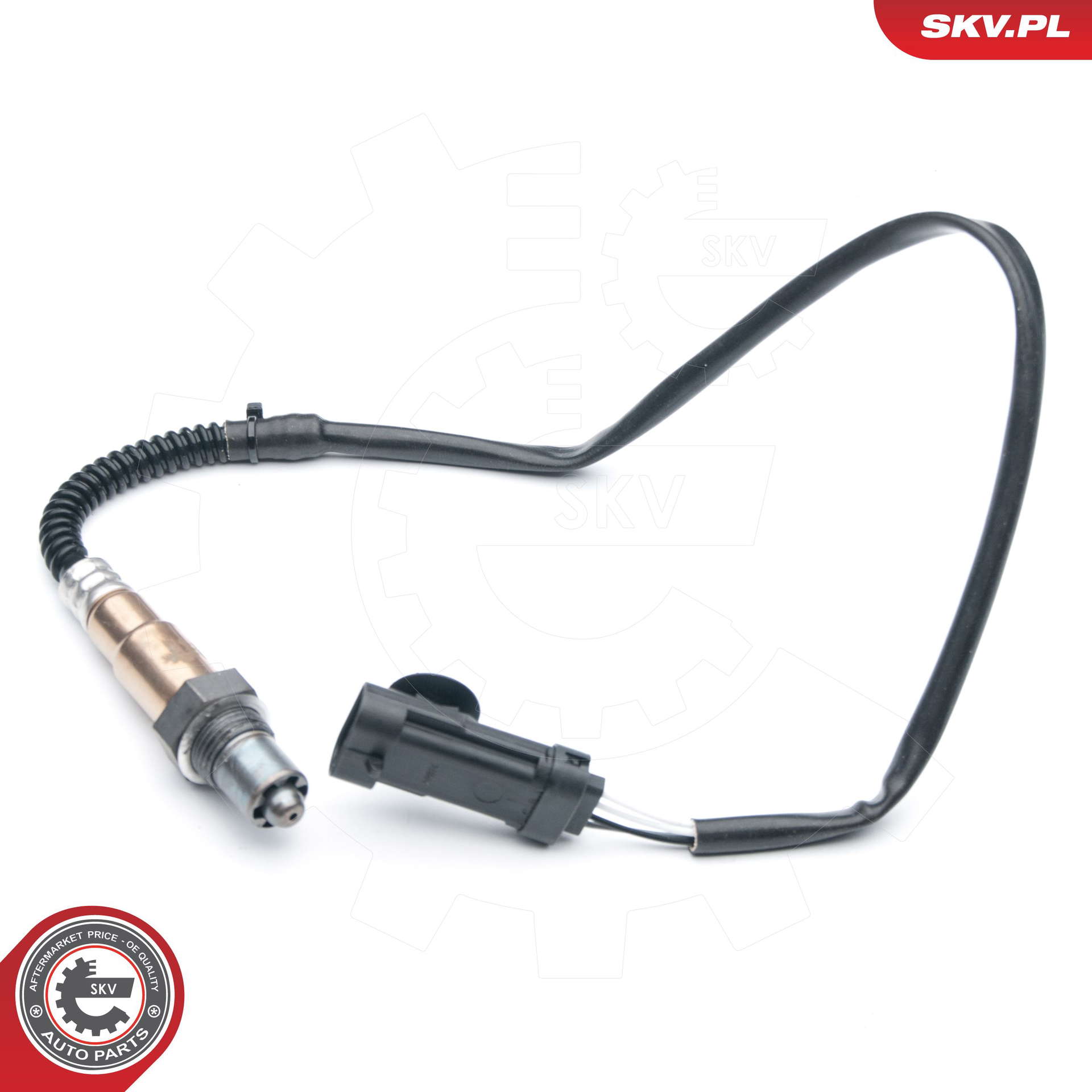 09SKV695_PROD_01
