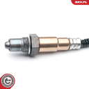 09SKV695_PROD_02
