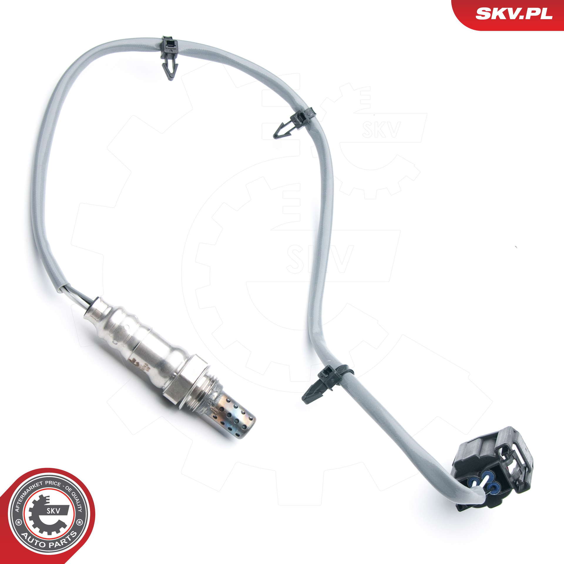 09SKV740_PROD_01