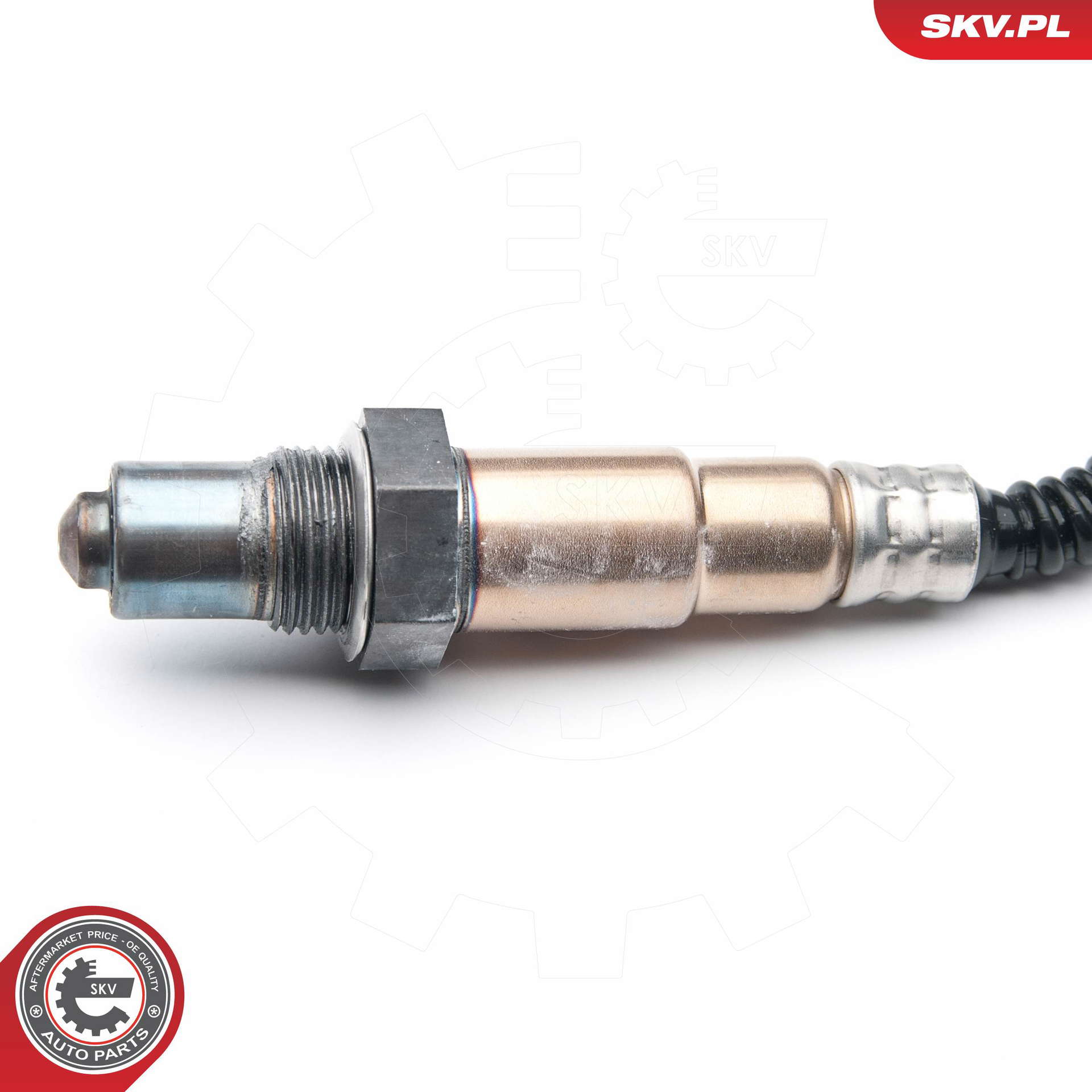 09SKV858_PROD_02
