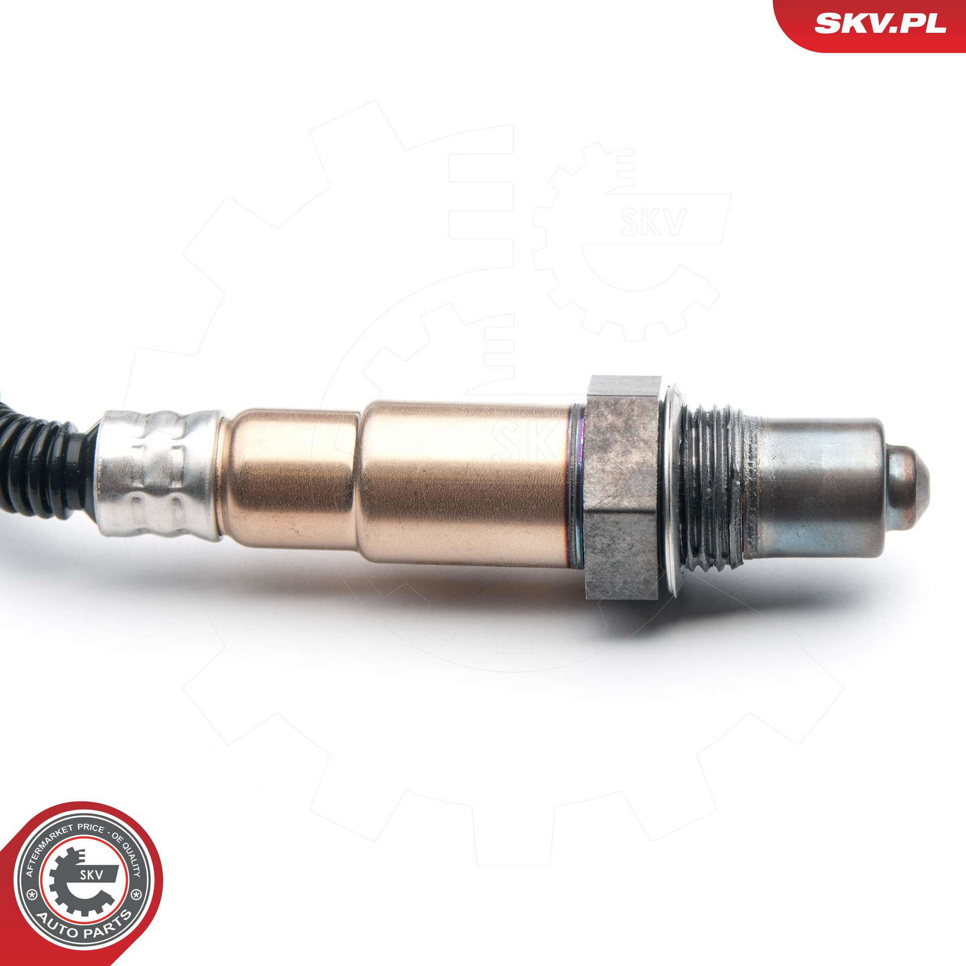 09SKV859_PROD_02