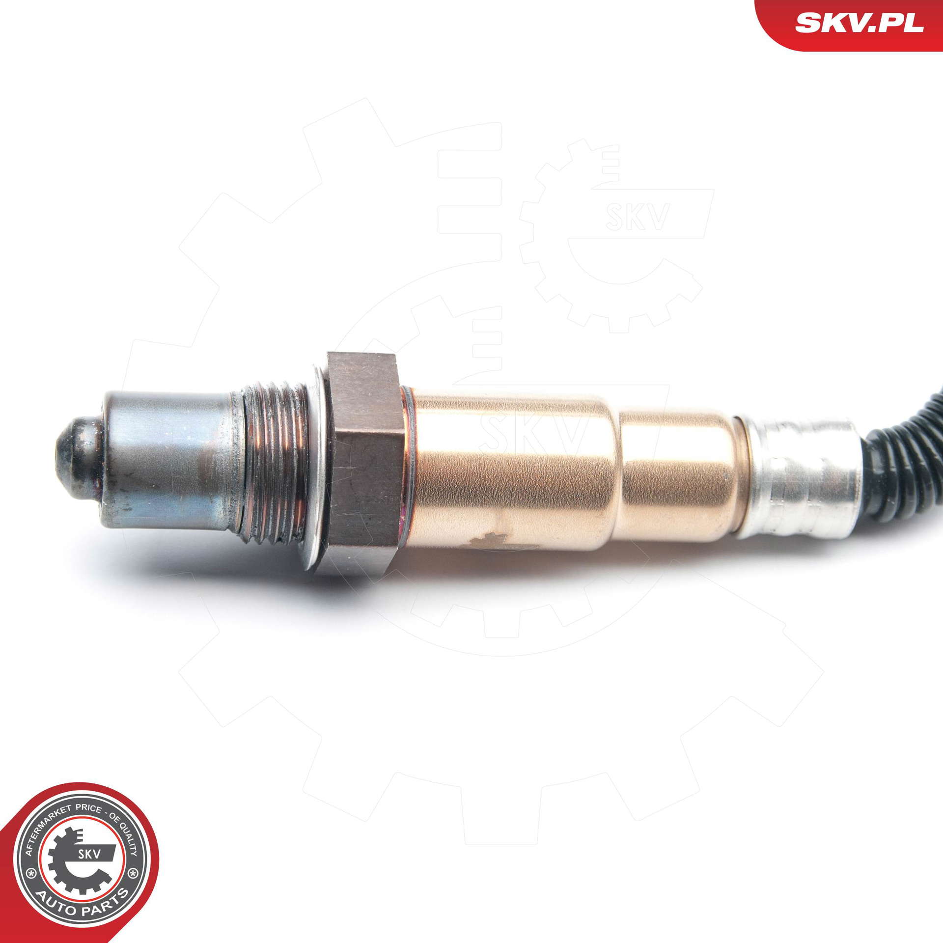 09SKV860_PROD_03