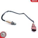 09SKV868_PROD_01