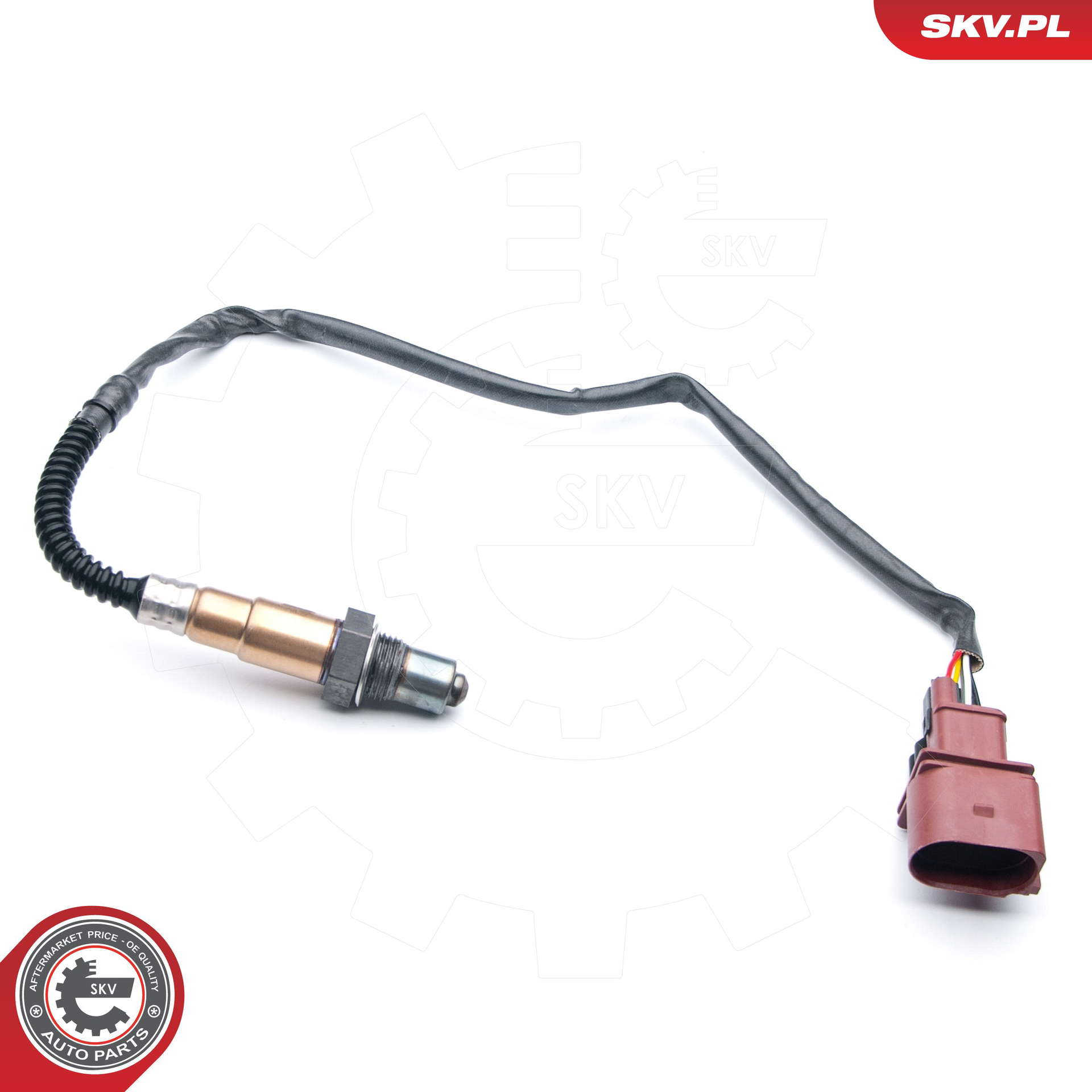 09SKV868_PROD_01