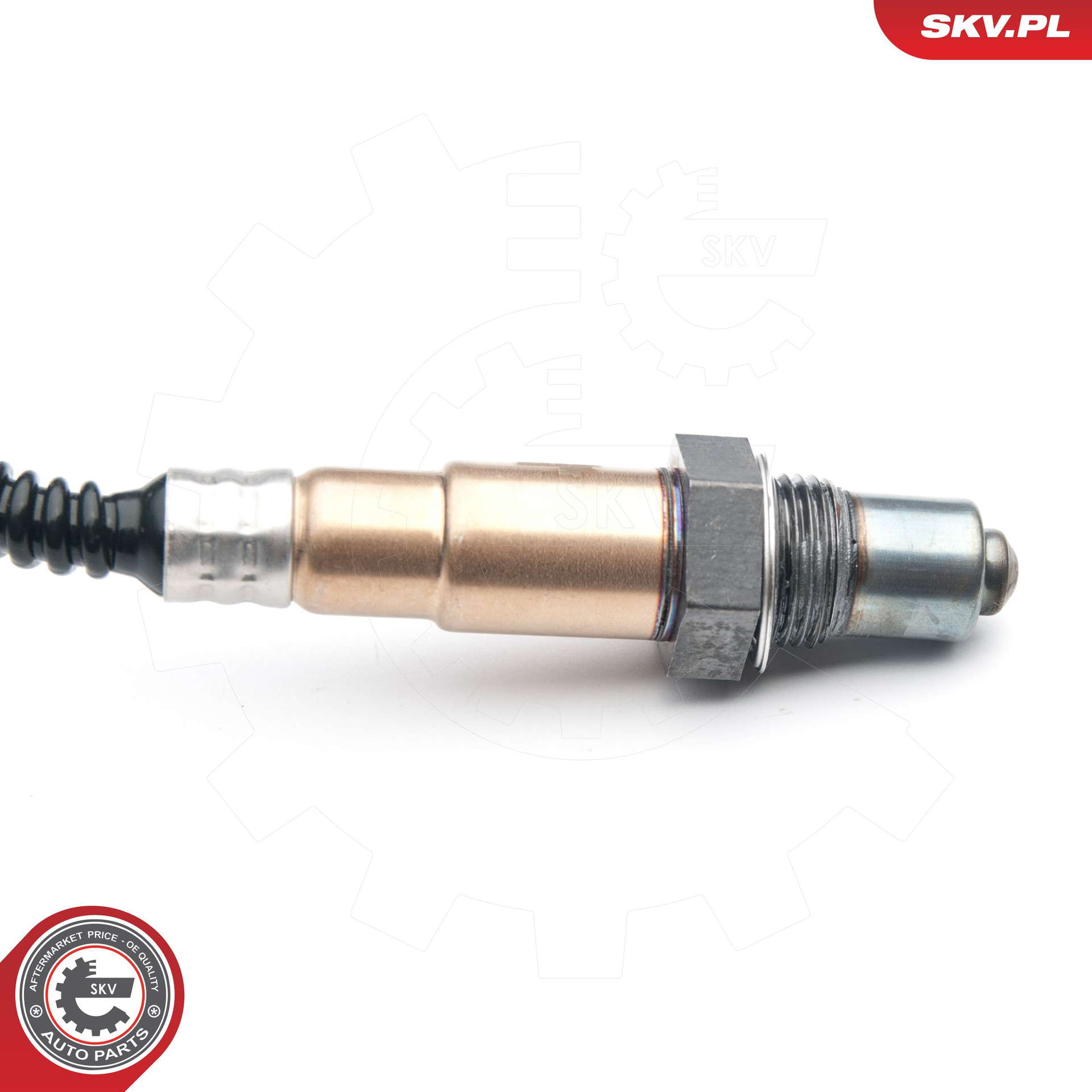 09SKV868_PROD_02