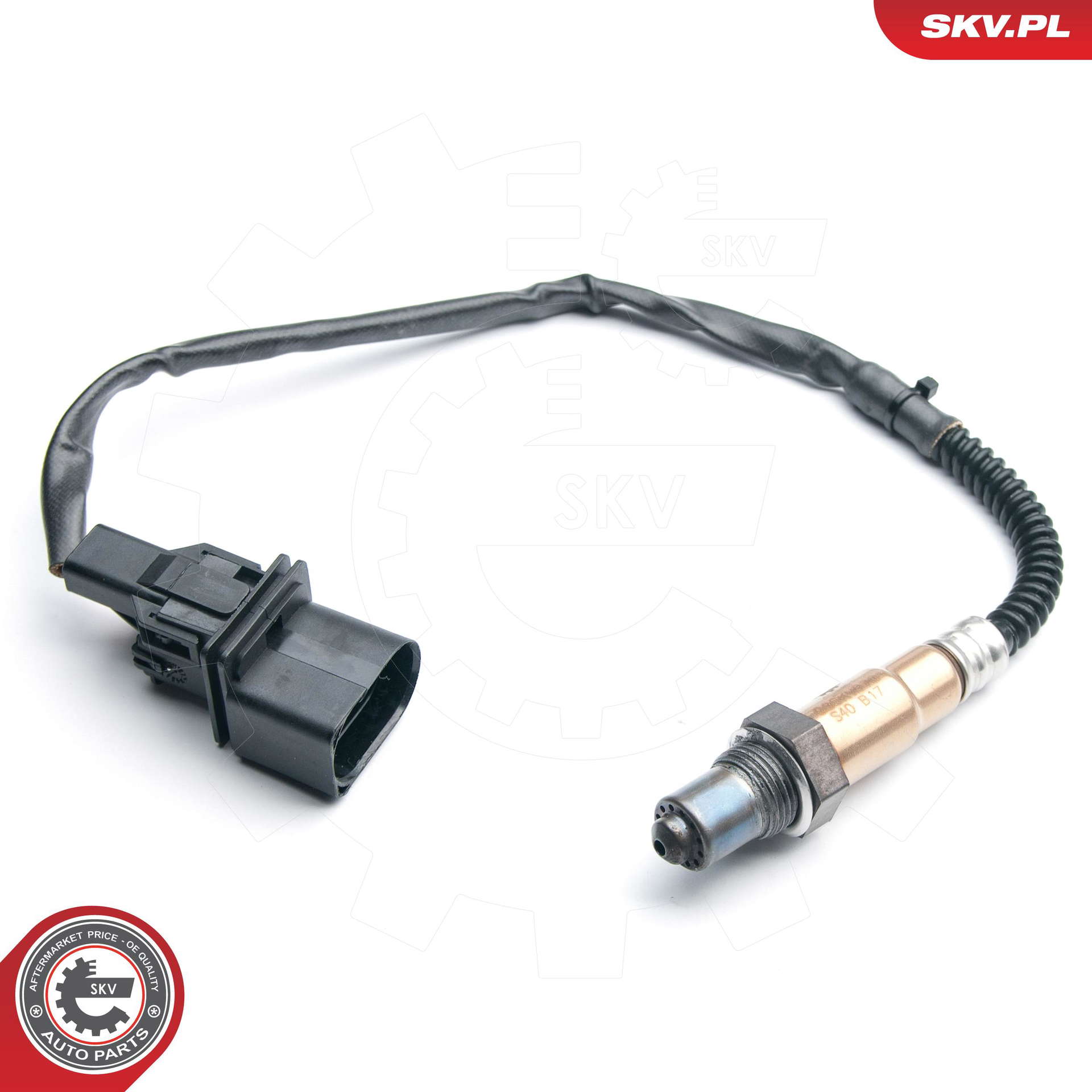 09SKV870_PROD_01