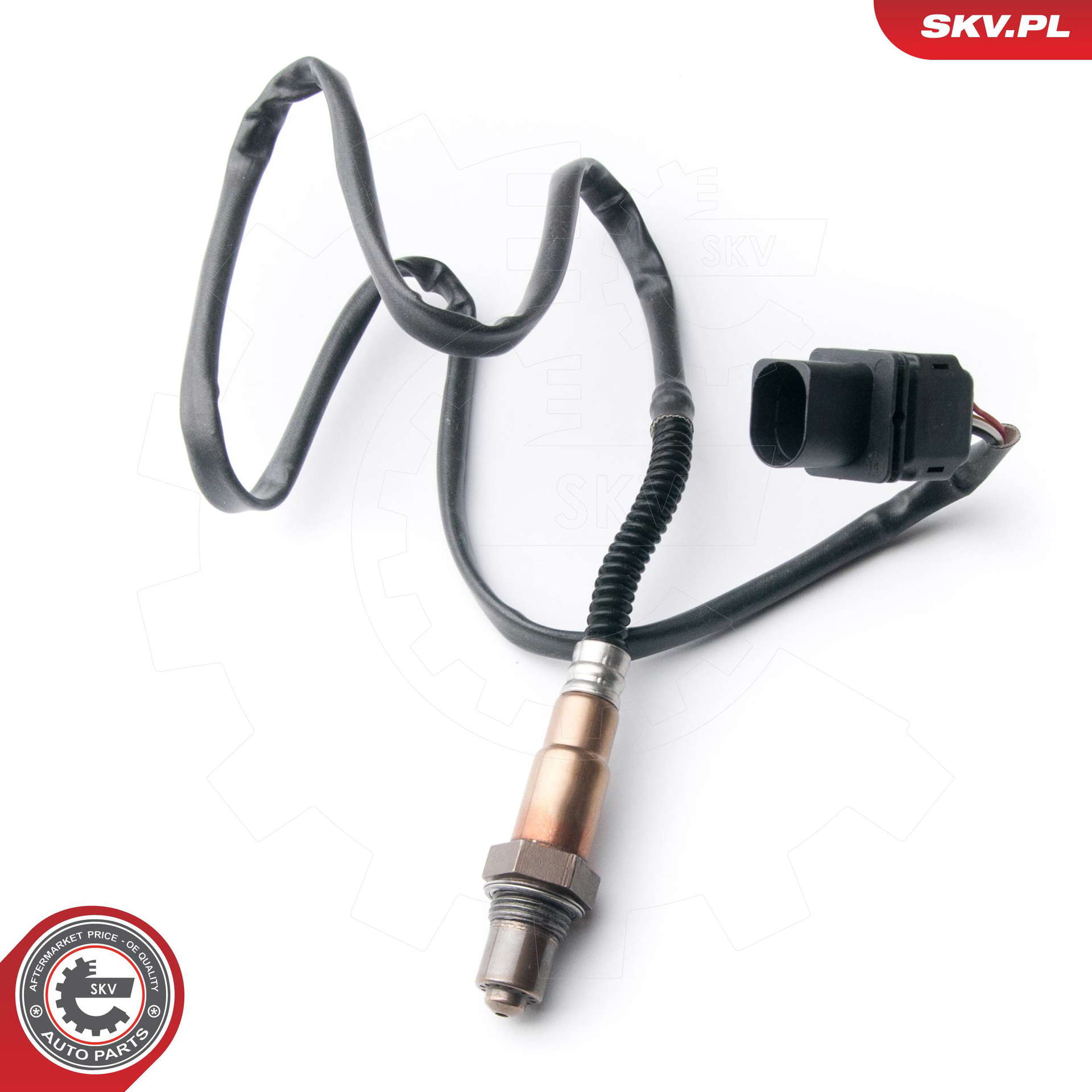 09SKV910_PROD_01