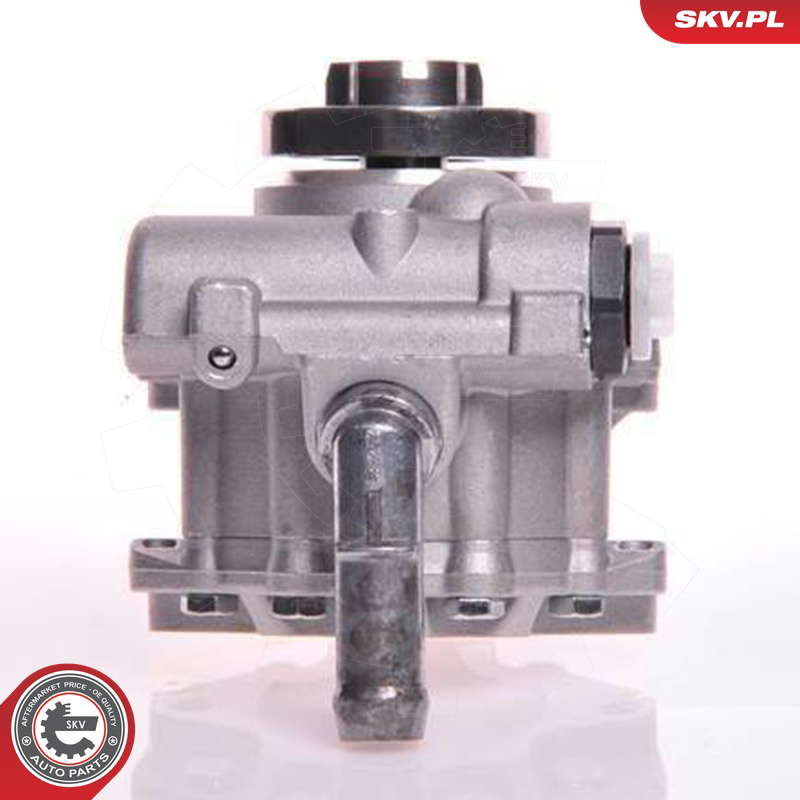 10SKV166_PROD_03