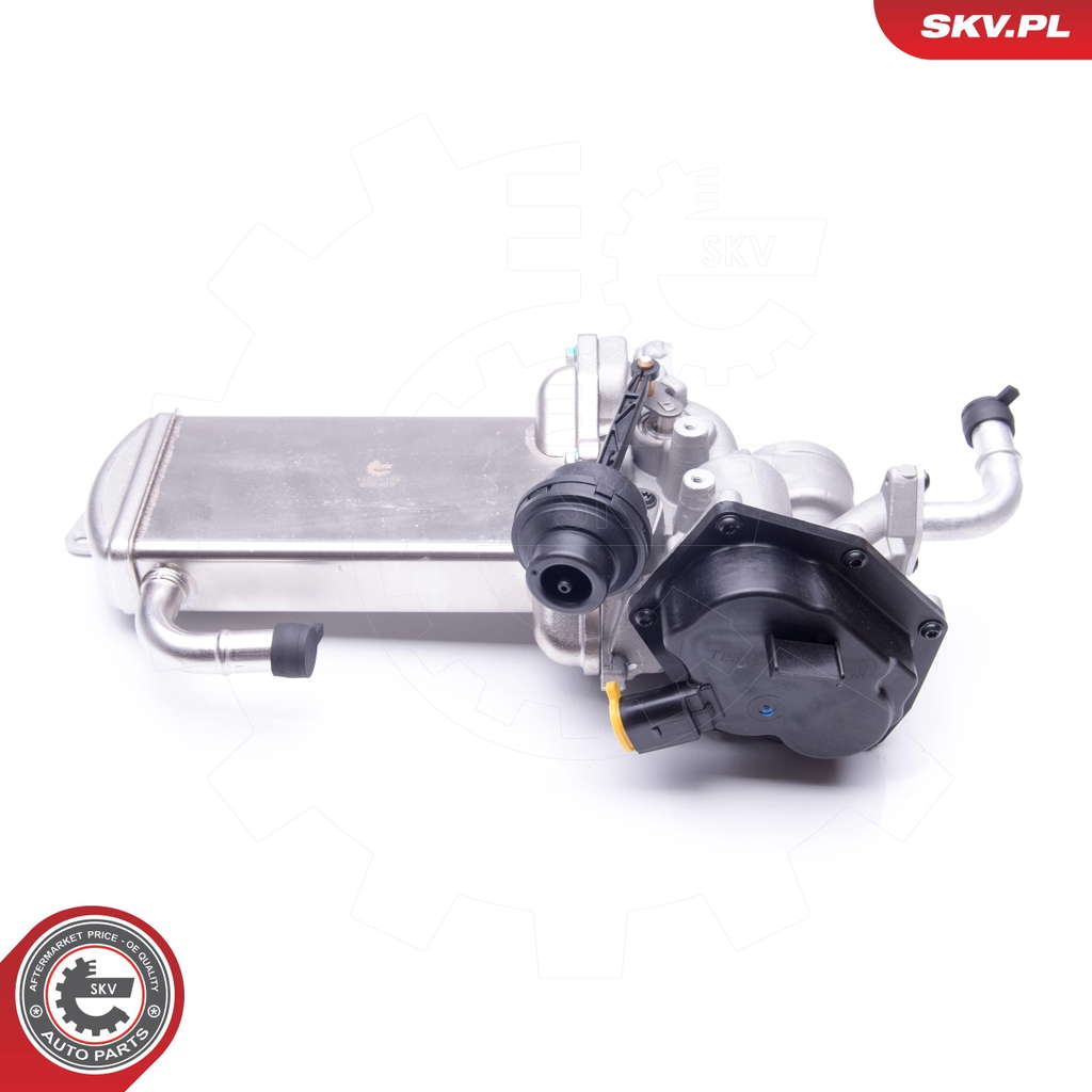Vanne EGR