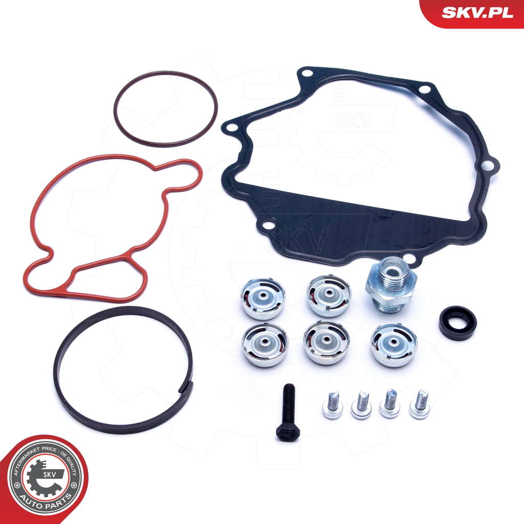 Kit de réparation, pompe à vide (freinage)